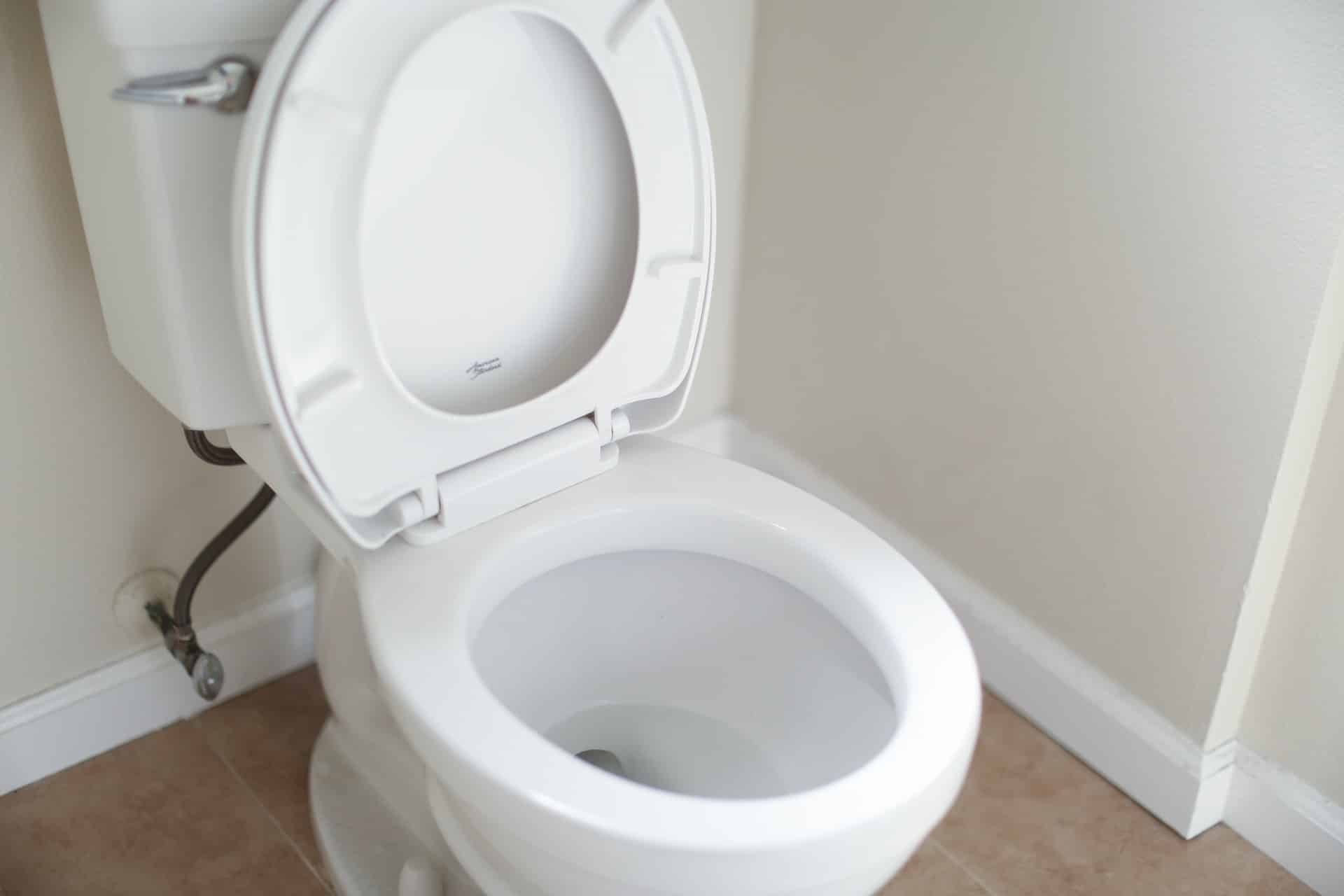 Les désagréments des selles volumineuses obstruant les toilettes : une problématique courante